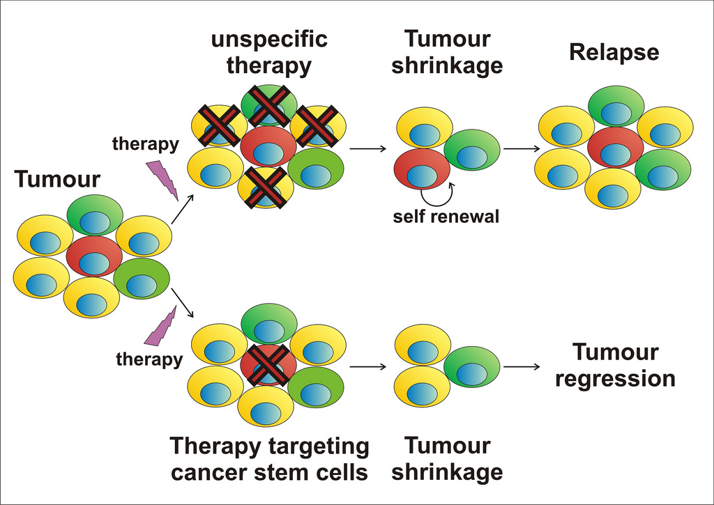 Illustration of cancer stem cells and therapy