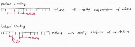 Beate diagram
