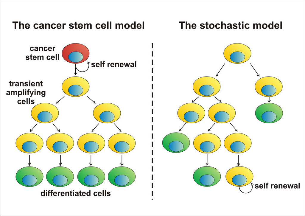 Illustration of cancer theories