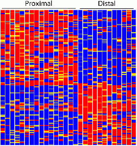 brunskill et al