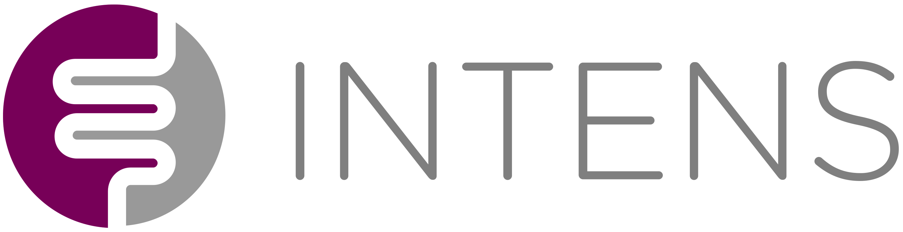 INTENS Logo