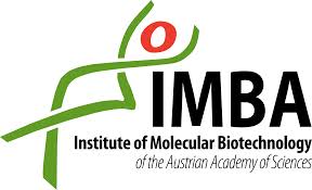 IMBA Logo