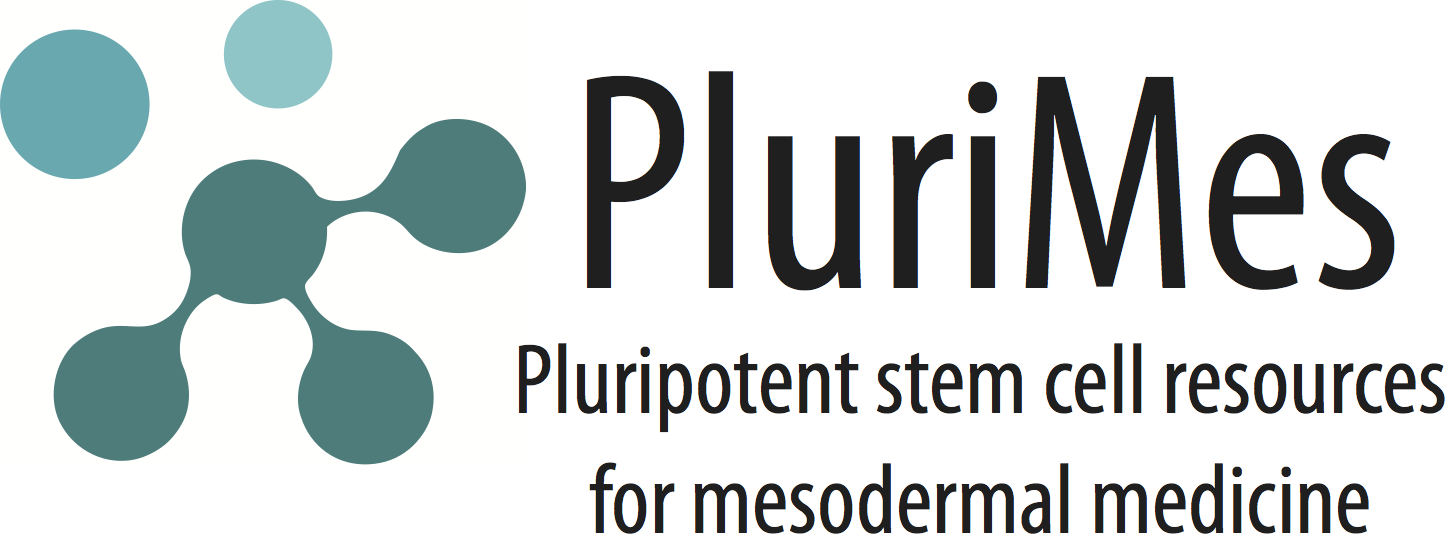 PluriMes Logo