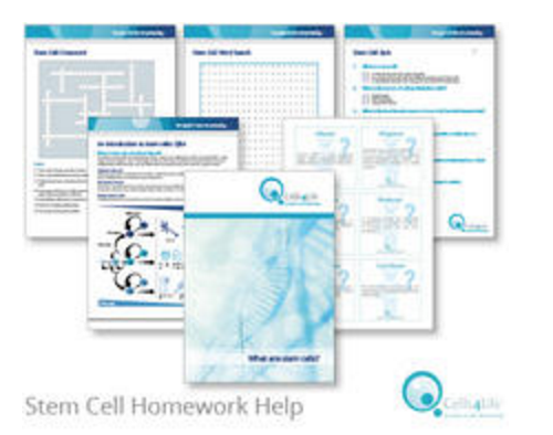 Cells4Life Homework