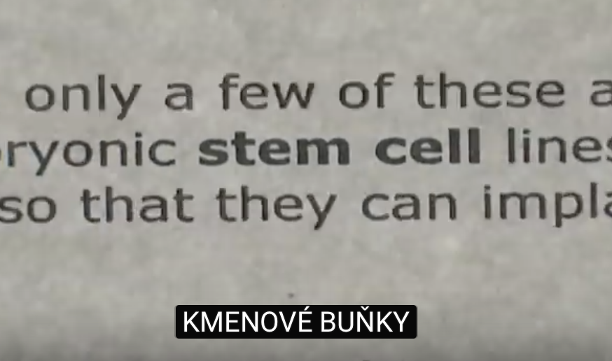 stem cell story