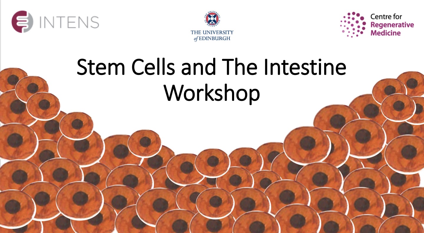 Stem cells and the intestines workshop
