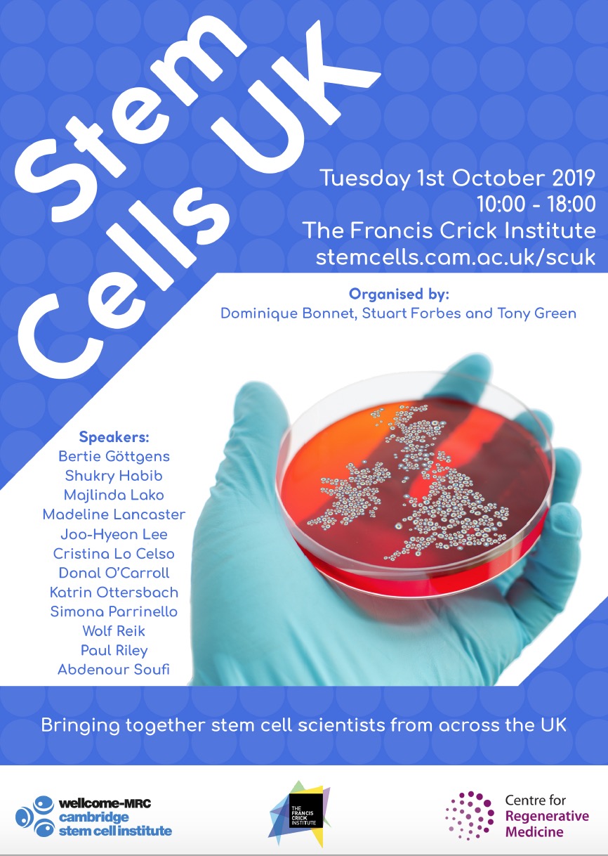 Stem Cells UK