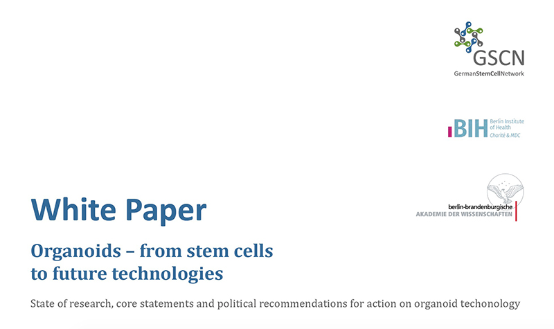 screenshot of GSCN white paper on organoids