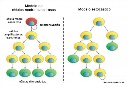 Teorías del cáncer