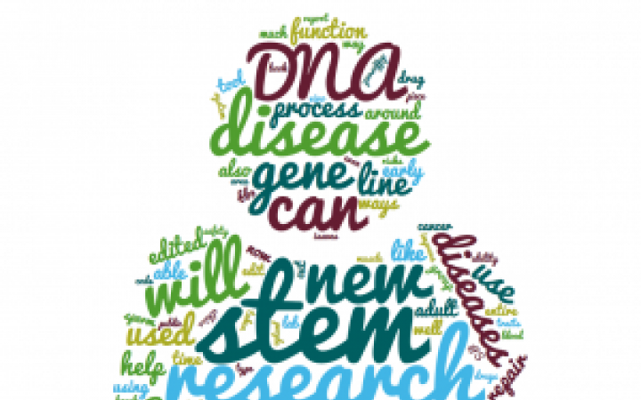 Word cloud about genome editing