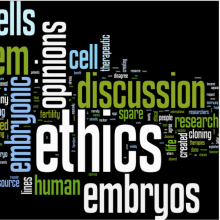 Origins, ethics and embryos: the sources of human embryonic stem cells