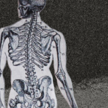 Diagram of the spinal cord