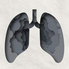 Diagram of the lung showing the large airway and alveoli