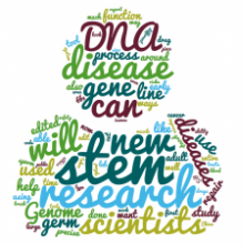 Word cloud about genome editing
