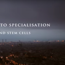 Stem Cell Journey