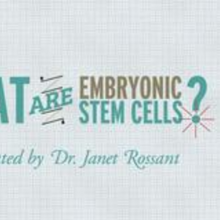 StemCellShorts - What are embryonic stem cells?