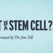 StemCellShorts - What is a stem cell?