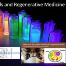 Stem Cell & Regenerative Medicine Powerpoint