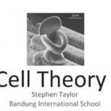 Cell Theory from i-Biology