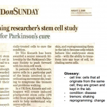 Activity: Stem Cells in the News