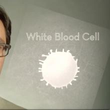 Laboratory-grown Blood Cells: Transfusion of the Future